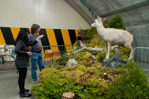 PV 140920-018