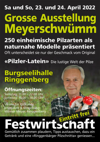 Meyerschwuemm